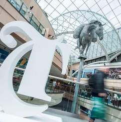 Leeds Trinity.