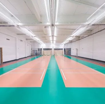 The Cricket School